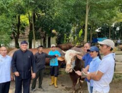 Bupati Bogor, Rudy Susmanto Ucapkan Terima Kasih kepada Presiden RI atas Bantuan 58 Ekor Sapi Wurban