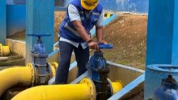 IMG_20260225_170419 IMG_20260225_170419