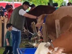 Ketua DPRD Kabupaten Bogor Sastra Winara Tinjau Kontes Sapi APPSI, Sapi Berbobot Lebih dari Satu Ton Jadi Sorotan